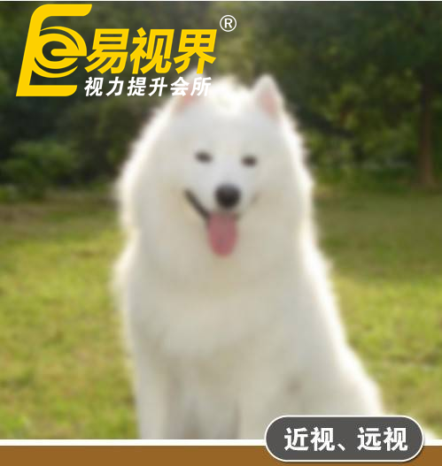 不一樣的眼病，不一樣的世界